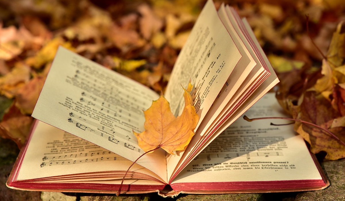 Ідеальний подарунок на День вчителя: 5 книг, які сподобаються педагогам