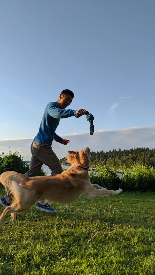 У мережі показали одну з особливостей камери смартфона Pixel 4 - фото 359308