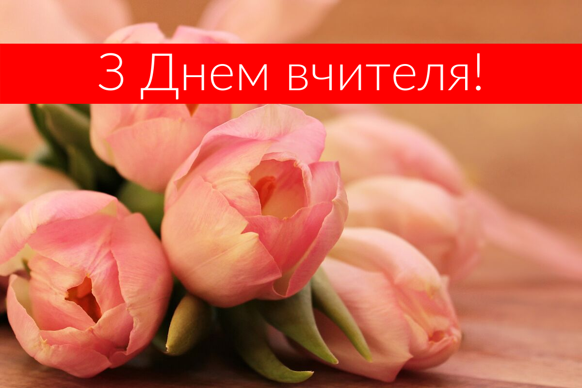 Привітання з Днем вчителя 2019 у прозі: побажання своїми словами