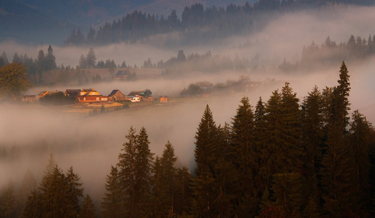 Ранок у Карпатах - фото 1