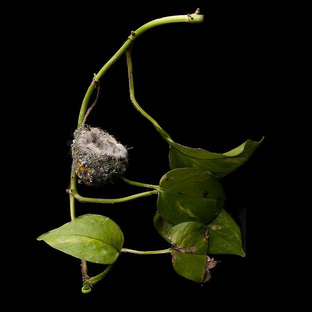 Шедеври природної архітектури в об'єктиві талановитого фотографа - фото 359714