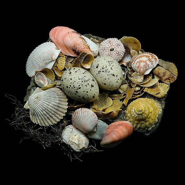 Шедеври природної архітектури в об'єктиві талановитого фотографа - фото 359715