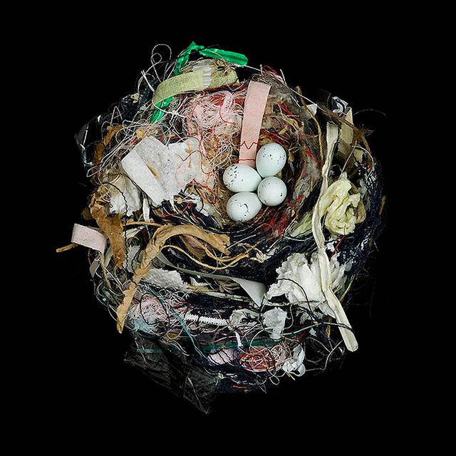 Шедеври природної архітектури в об'єктиві талановитого фотографа - фото 359717