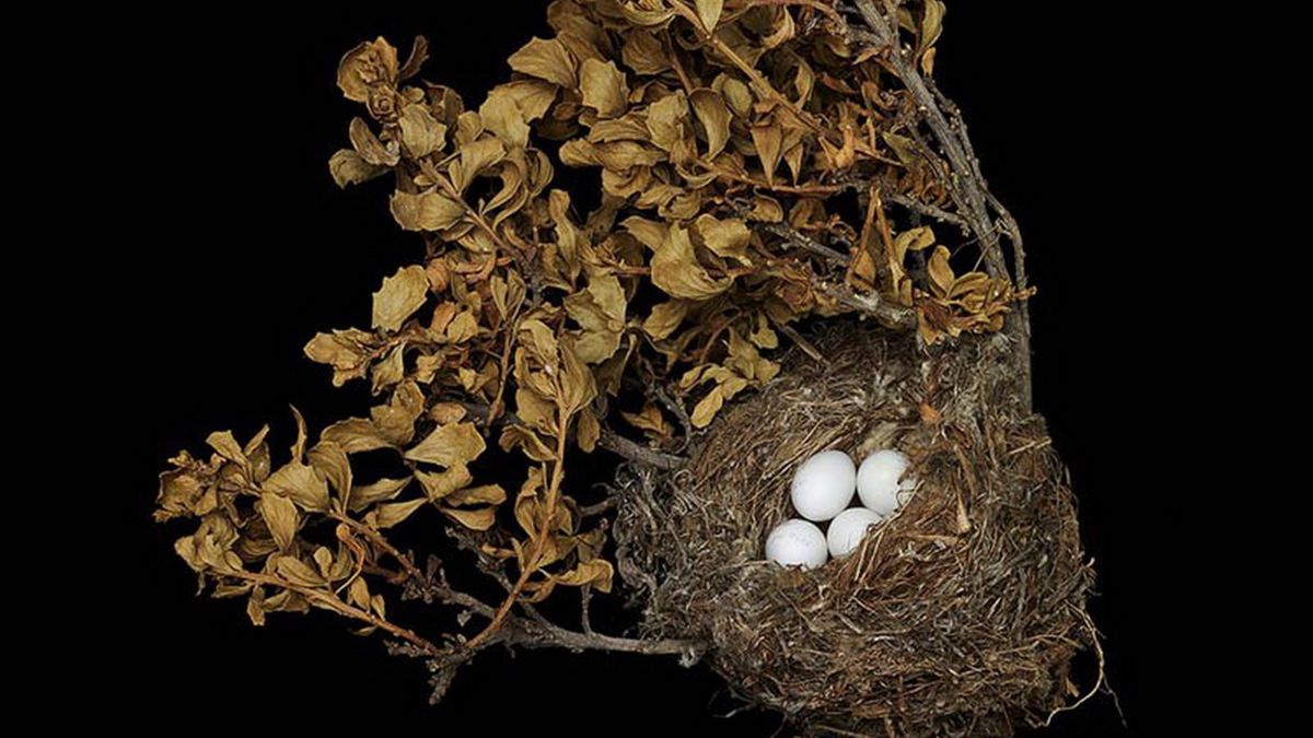 Шедеври природної архітектури в об'єктиві талановитого фотографа