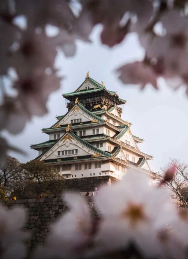 Найкрасивіші будівлі Азії з висоти пташиного польоту - фото 359806