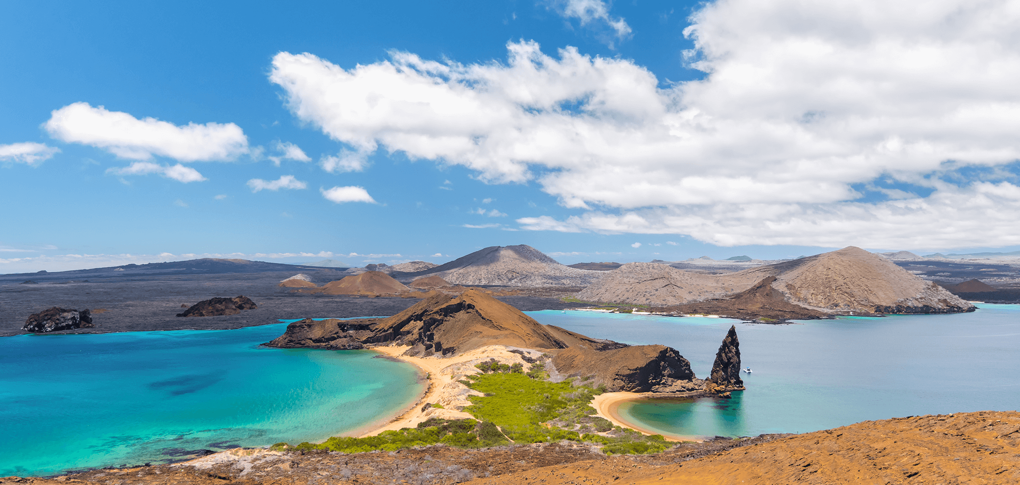 Перша позиція за Еквадором - фото 1