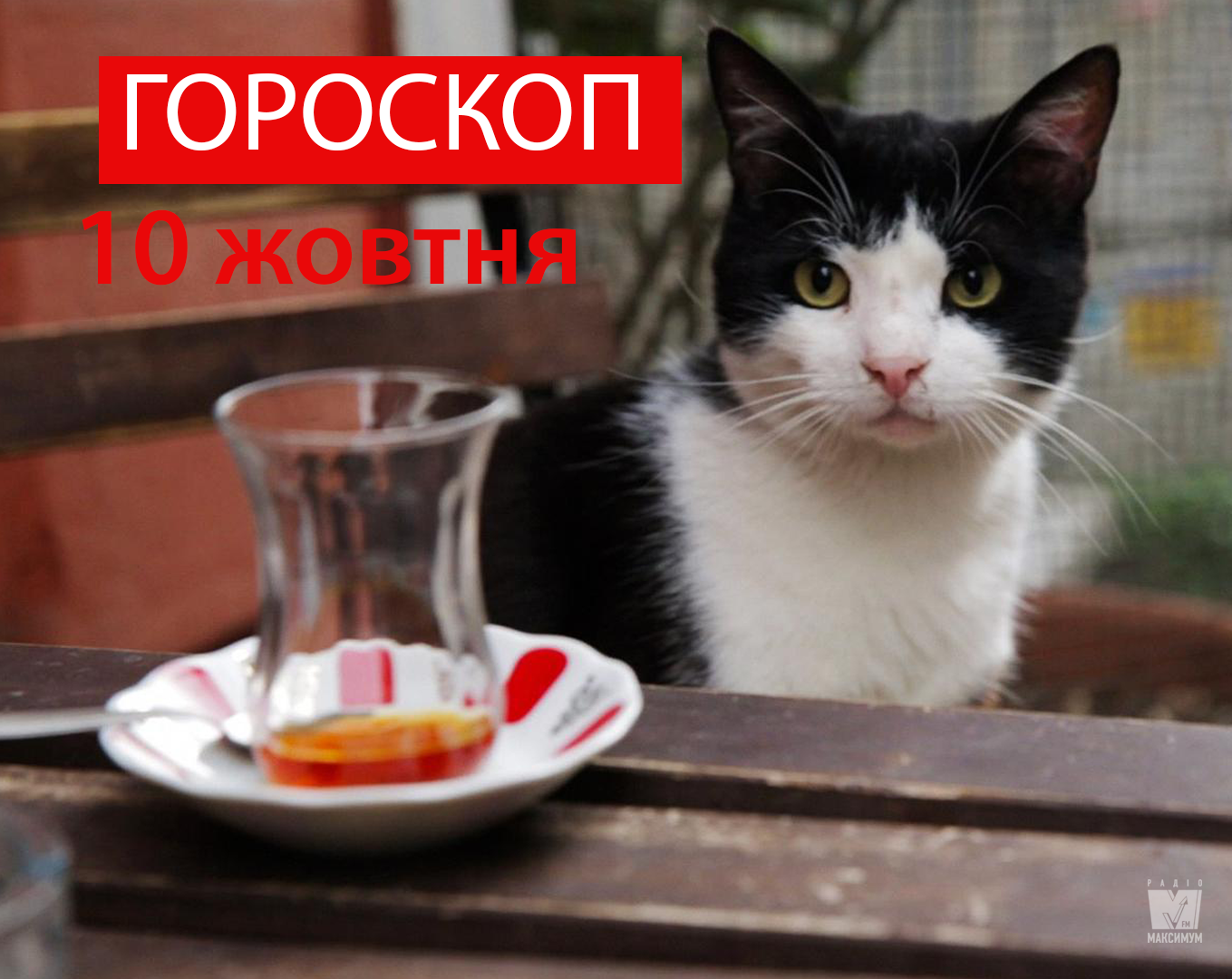 Гороскоп на 10 жовтня 2019: Леви та Скорпіони будуть сповнені нових вражень