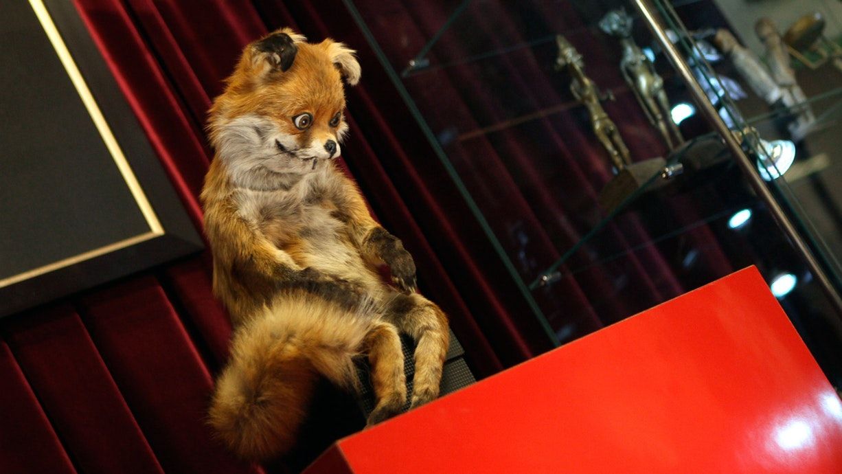 Створено алгоритм, який пояснить меми людям з вадами зору