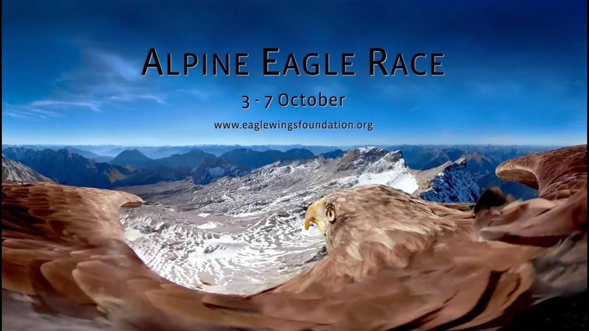 Орел зняв на GoPro Альпи, і це відео варто побачити кожному