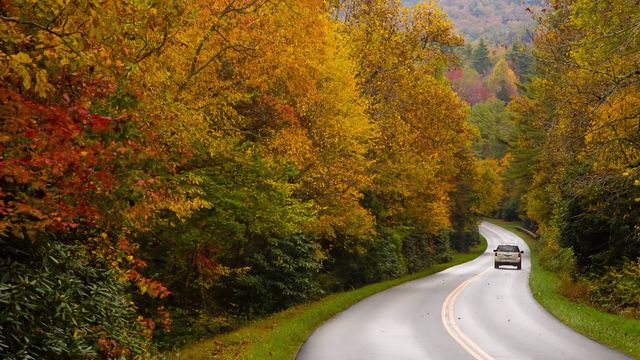 Як виглядає найкрасивіша дорога США - фото 360238