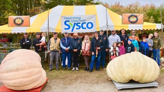 У США виростили гігантський гарбуз вагою в тонну - фото 360421