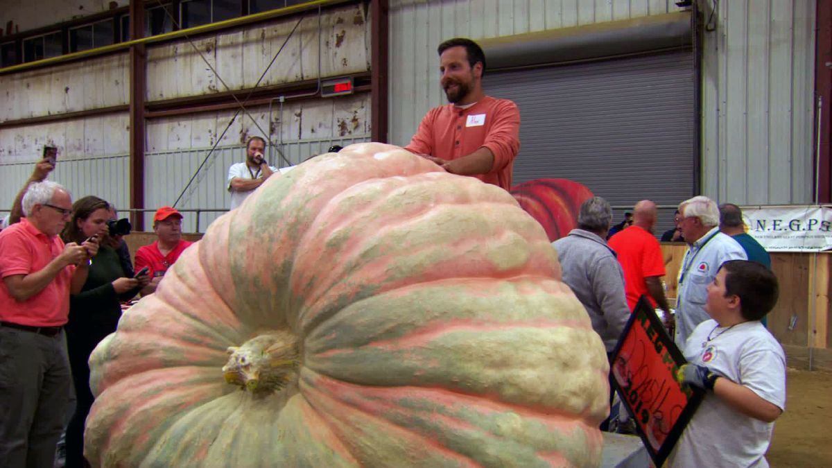 У США виростили гігантський гарбуз вагою в тонну