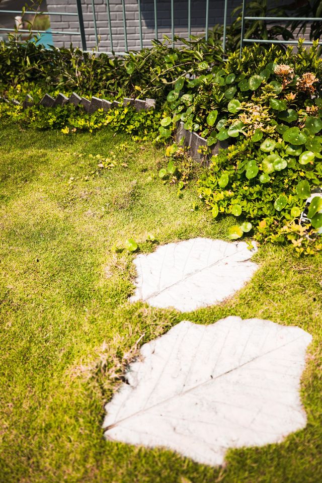 У В'єтнамі створили ідеальний дім, де кожен з сім'ї живе окремо - фото 360481