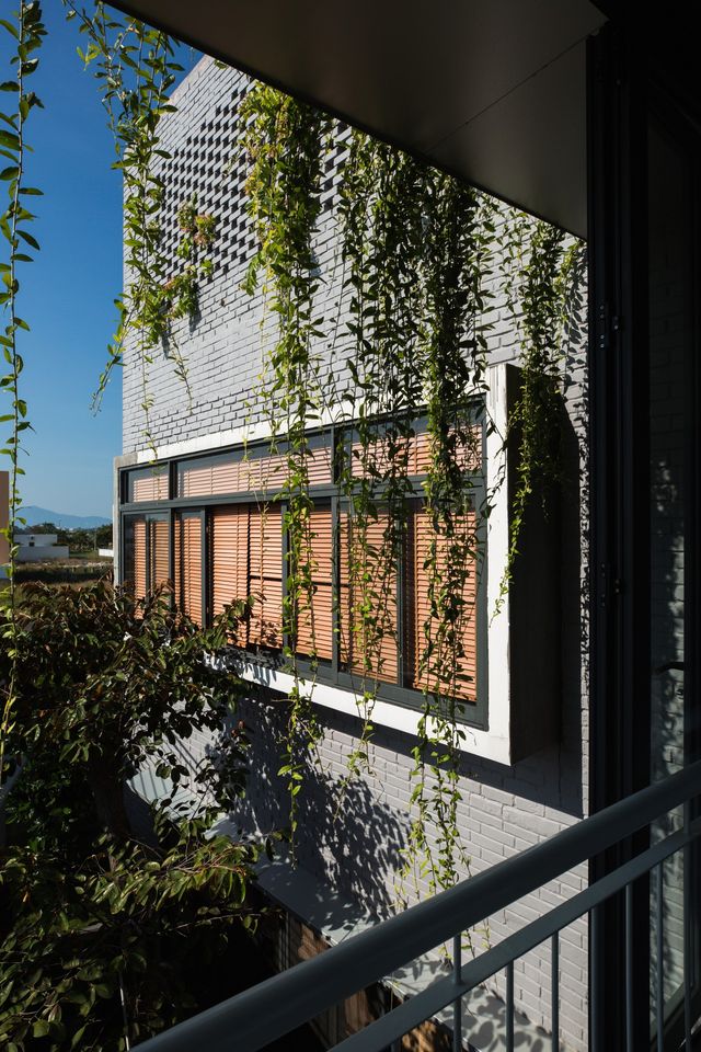 У В'єтнамі створили ідеальний дім, де кожен з сім'ї живе окремо - фото 360488