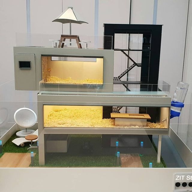 Корейці створюють елітні домівки для хом'яків, яким можна позаздрити: фото - фото 360511