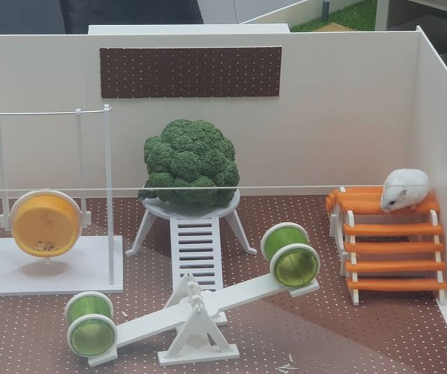 Корейці створюють елітні домівки для хом'яків, яким можна позаздрити: фото - фото 360512