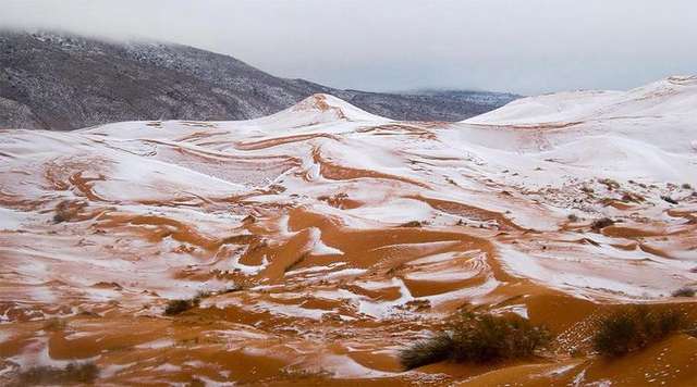 Неймовірні пейзажі засніженої пустелі Сахара - фото 360670