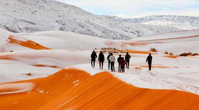 Неймовірні пейзажі засніженої пустелі Сахара - фото 360674