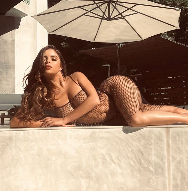 Сексуальна Демі Роуз зваблює фанатів у сіточці на голе тіло (18+) - фото 360724