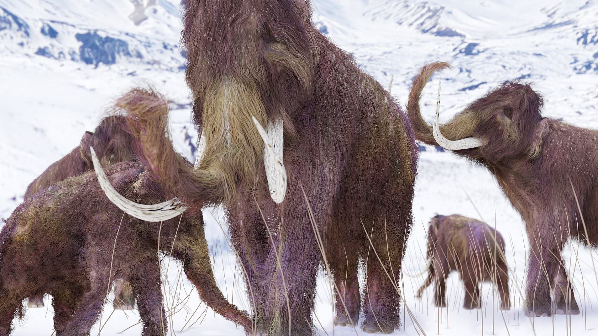 Вчені знайшли в Арктиці останки мамонтів: все не так, як ми думали