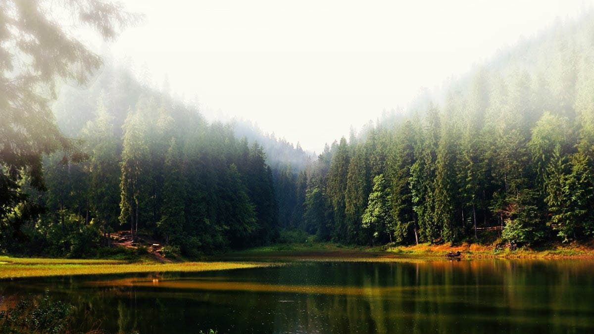 Як виглядає Синевир з висоти пташиного польоту