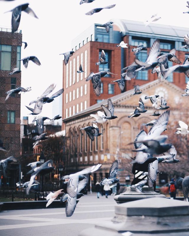 Ось чому варто мандрувати: яскраві фото барменки з Аргентини - фото 361246