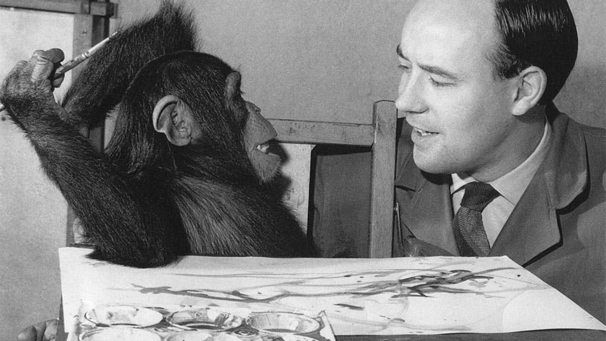 У Лондоні пройде виставка картин, намальованих мавпою: фото