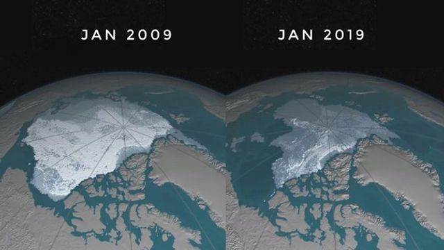 Танення льодовиків: фотопорівняння через сто років - фото 361687