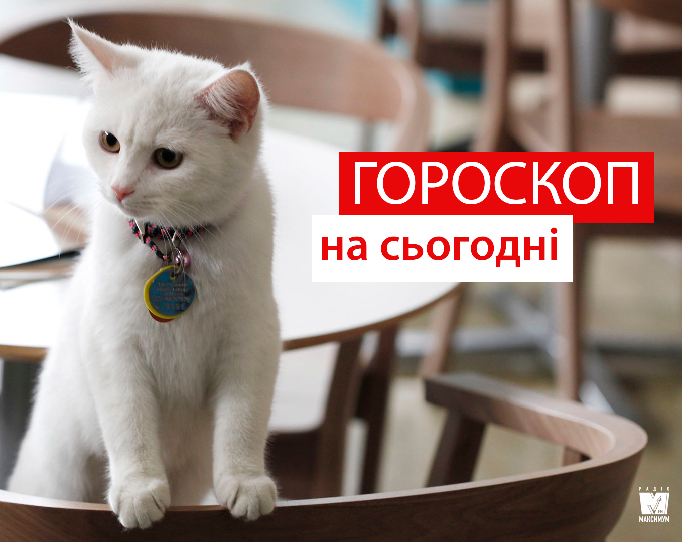 Гороскоп на 17 жовтня 2019: кому сьогодні усміхнеться фортуна