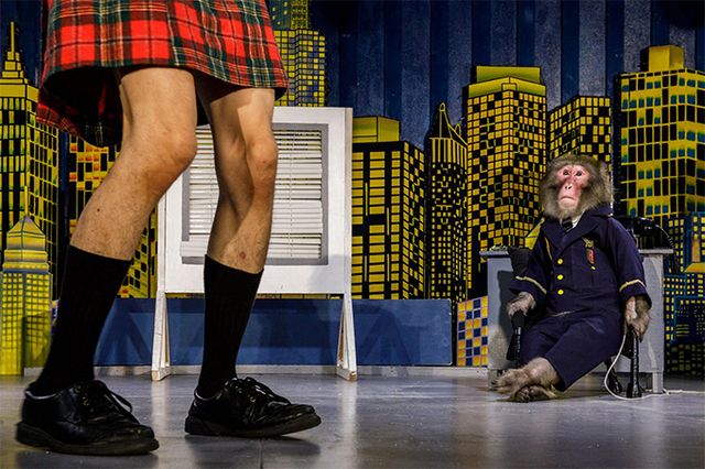 Найкращі фото тварин, зняті у 2019 році: кадри, які вам сподобаються - фото 361918