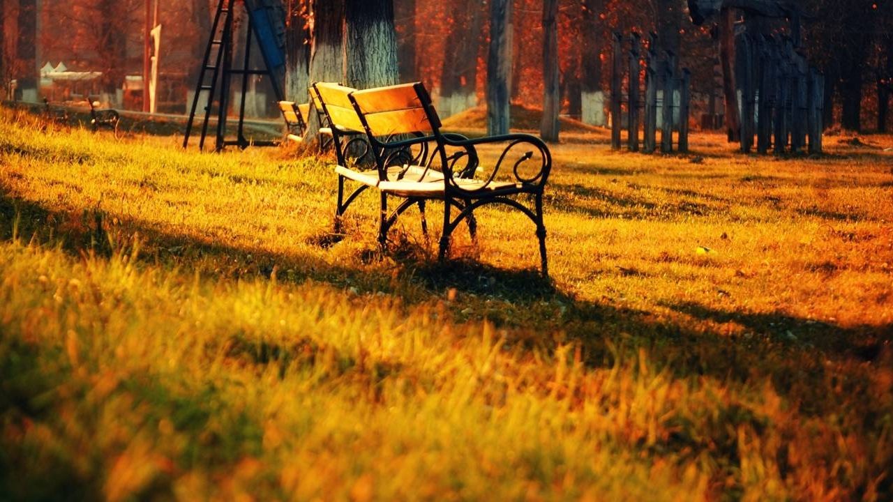 Вересень 2019 року став найтеплішим за всю історію спостережень