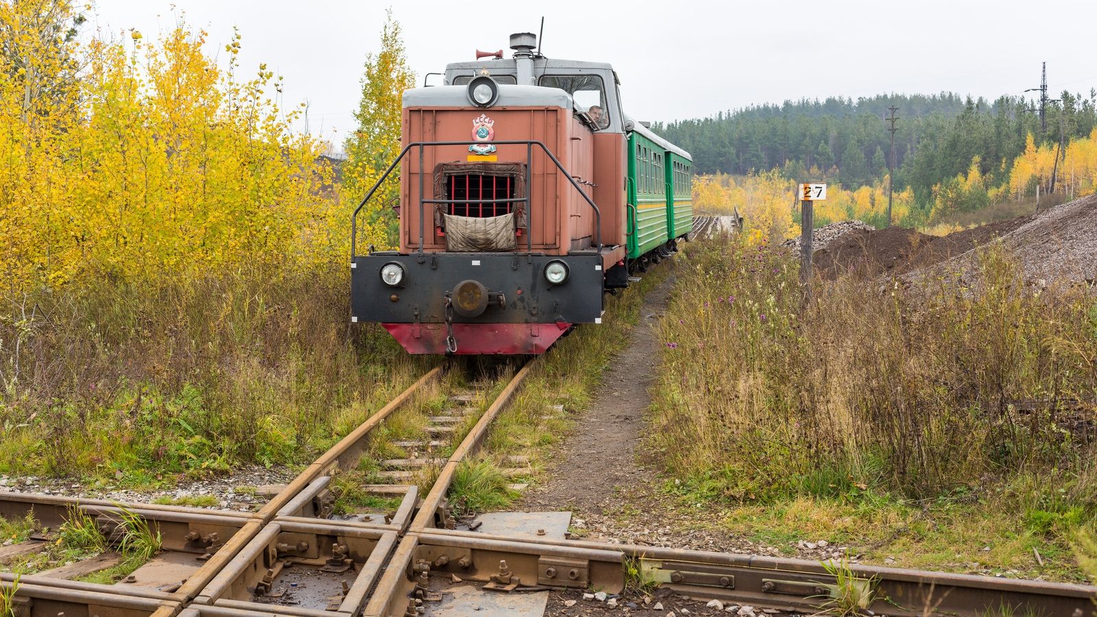 Дитяча мрія: чоловік побудував на дачі залізницю з саморобним локомотивом (відео)