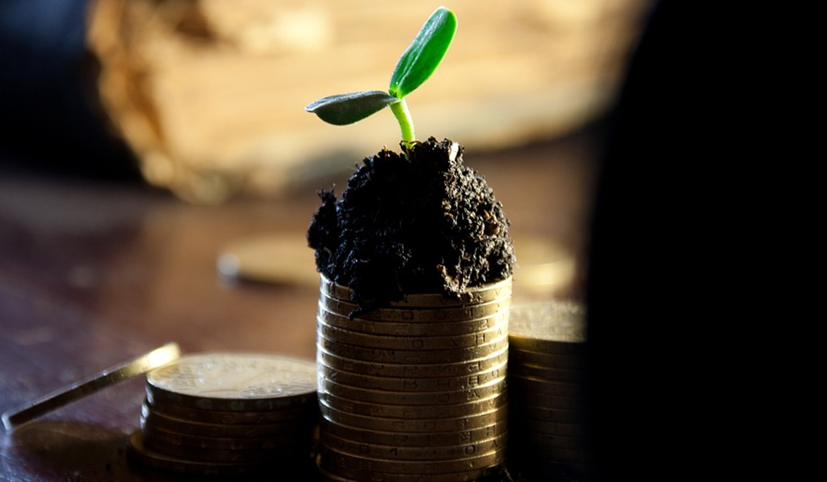 Бюджет 2020: якою буде мінімалка, прожитковий мінімум і курс долара в Україні