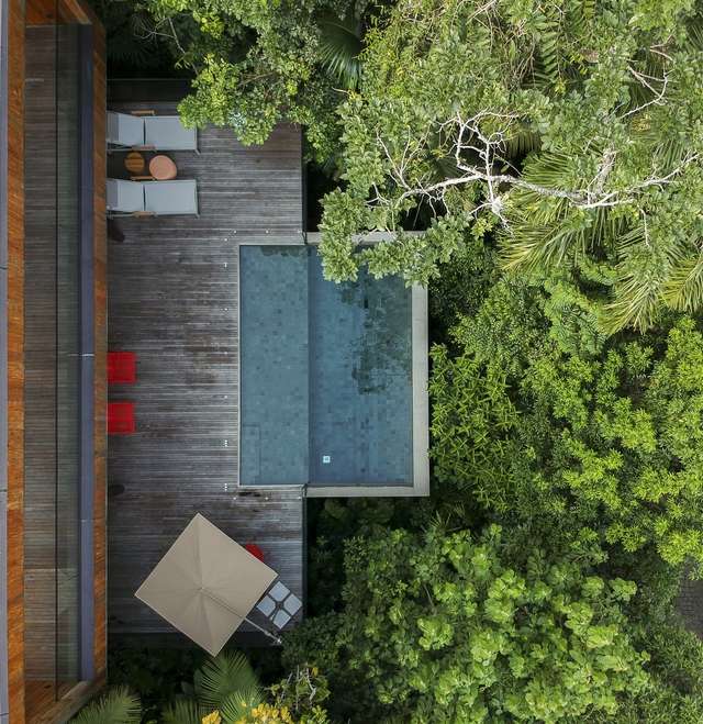 Як виглядає дім мрії у бразильському лісі: фото - фото 362632