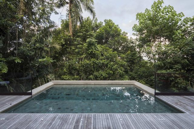 Як виглядає дім мрії у бразильському лісі: фото - фото 362646