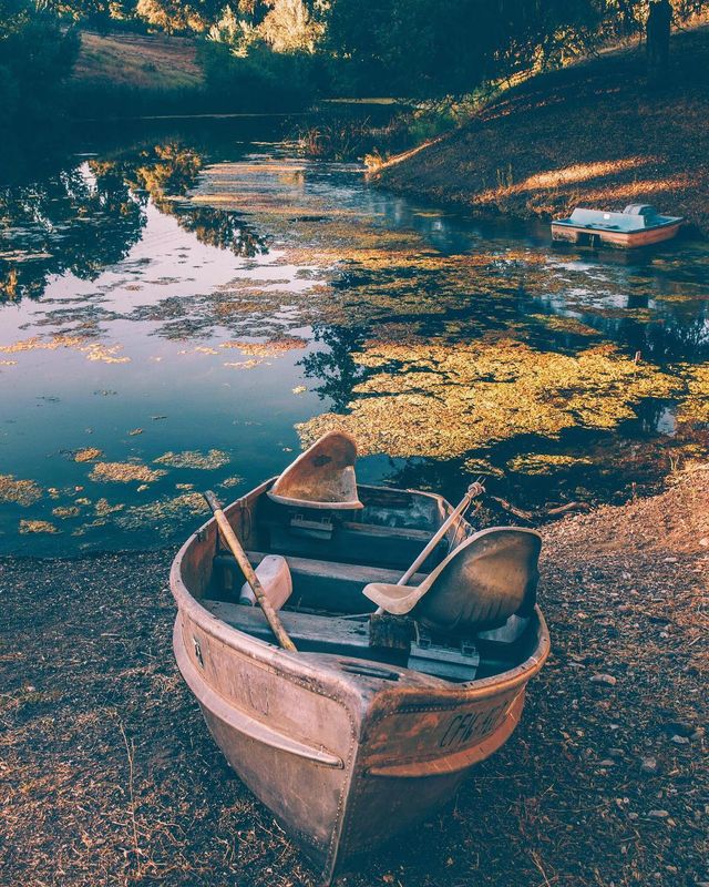 Талановитий американець показує, чому варто мандрувати: яскраві фото - фото 362675