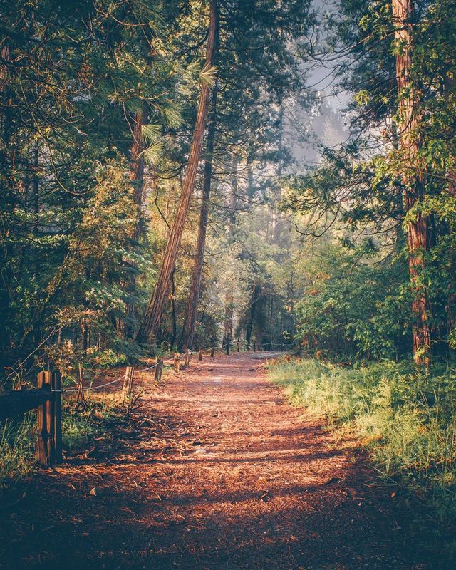 Талановитий американець показує, чому варто мандрувати: яскраві фото - фото 362683