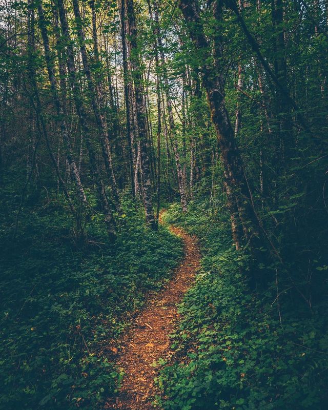 Талановитий американець показує, чому варто мандрувати: яскраві фото - фото 362688