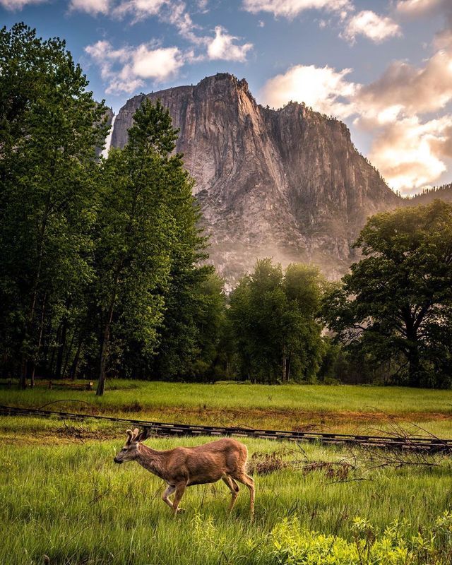Талановитий американець показує, чому варто мандрувати: яскраві фото - фото 362689