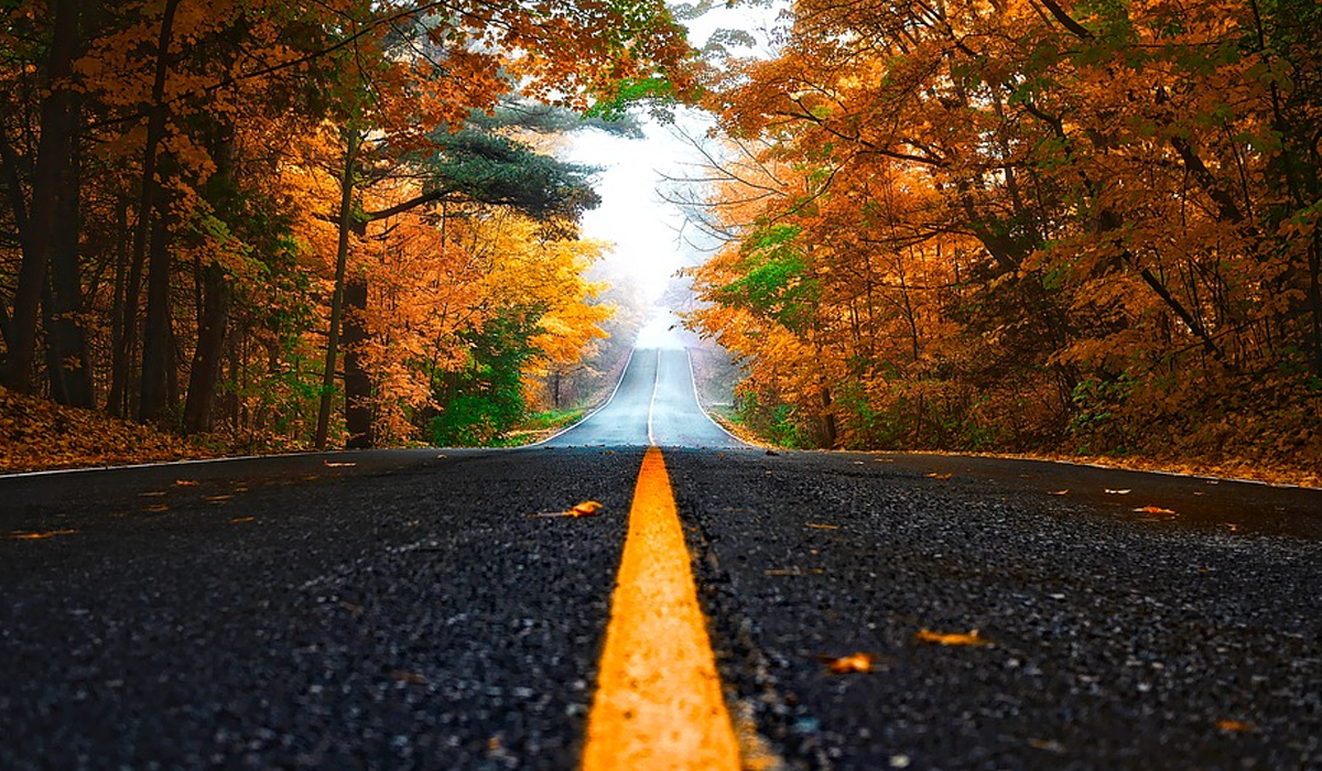 Смог у Києві: поради для водіїв, як уникнути аварій під час туману