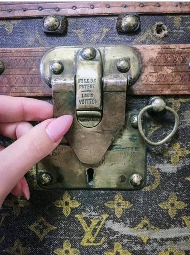 Українка зберігала кукурудзу в раритетному і дорогезному Louis Vuitton - фото 363192