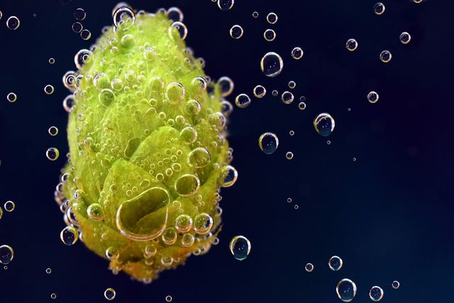 Чоловік став ходячою пивоварнею через травму пальця - фото 363264