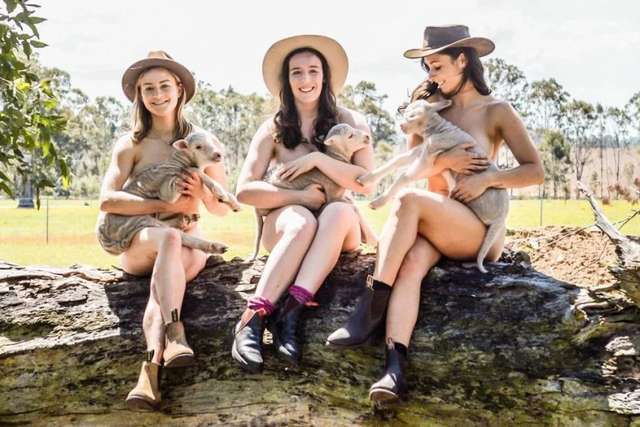 Австралійські студенти знялися голими для календаря (18+) - фото 363548