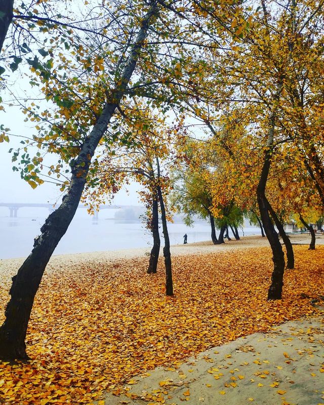 roksanabashyrova - фото 363662