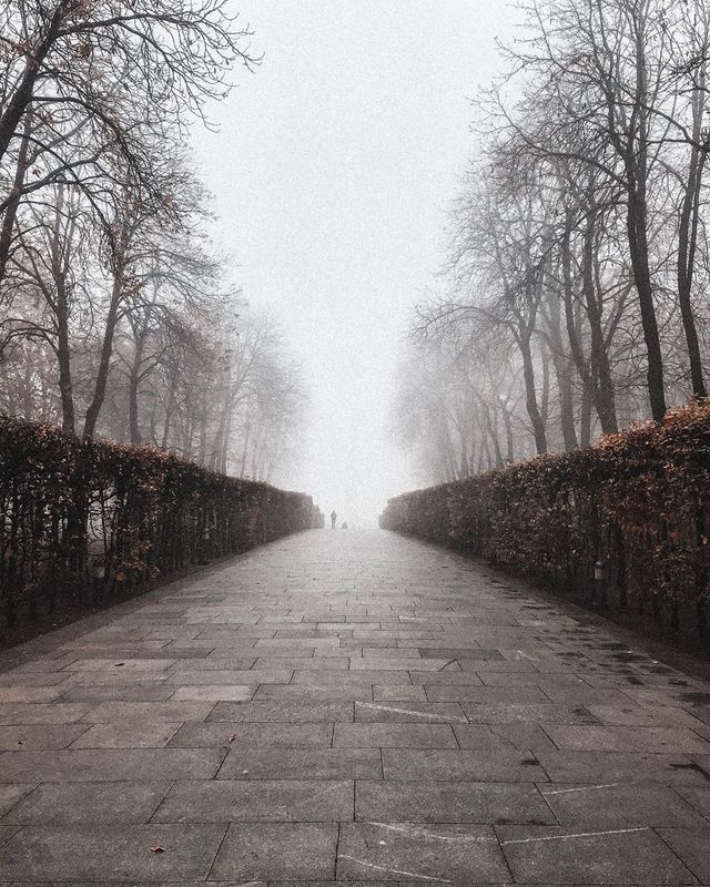 davidpasenko - фото 363664