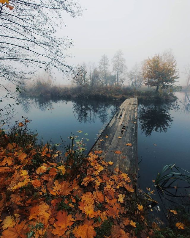 i_s_m_y_k - фото 363675