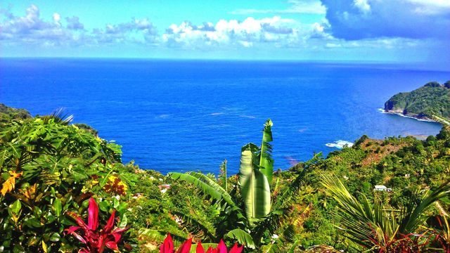 Українцям відкрили безвіз з популярною курортною країною - фото 363687