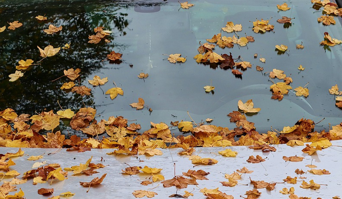 Як зробити "антидощ" для машини своїми руками: корисний лайфхак для водіїв