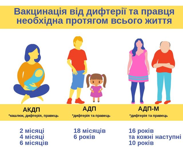 Щеплення від дифтерії: коли робити вакцинацію, види і ціна вакцини - фото 363865
