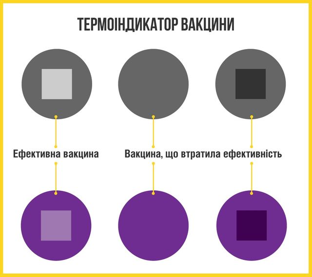 Щеплення від дифтерії: коли робити вакцинацію, види і ціна вакцини - фото 363866
